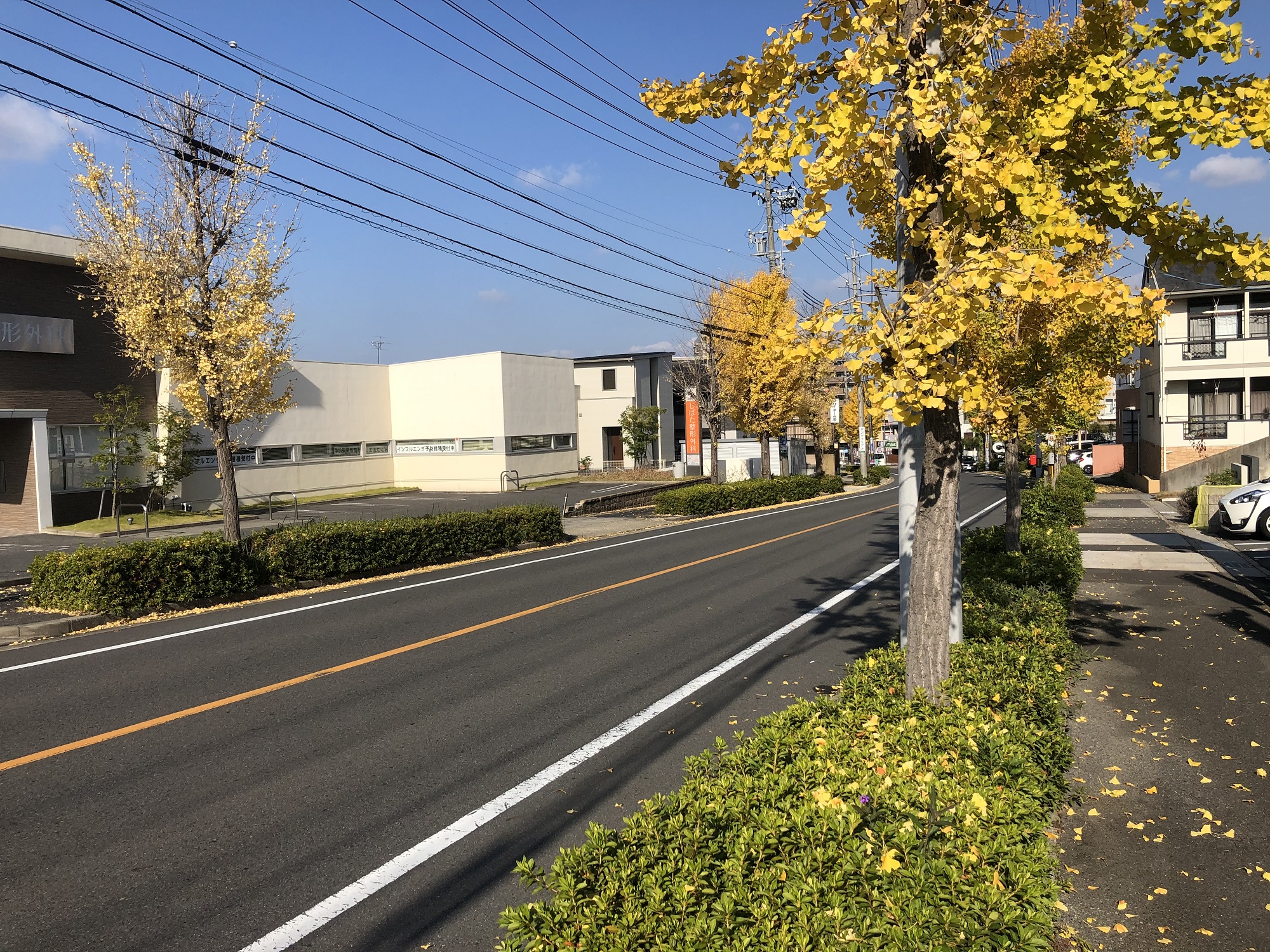 私の今に ちょうどいい服 C H Cocowalk 海を感じる名古屋市の雑貨ブランド